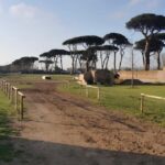 Rome: Horseback Riding Experience in Castel Fusano - What Makes This Tour Special?