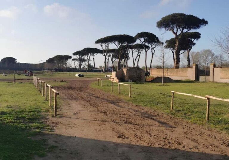 Rome: Horseback Riding Experience in Castel Fusano - What Makes This Tour Special?