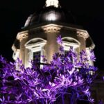 Rome: Santa Maria Maggiore Tour + Optional Terrace Access - The Details: What to Expect from the Santa Maria Maggiore Tour