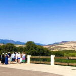 Ronda: Winery Tour with Wine Tasting and Tapas - Exploring the Ronda Wine Tour