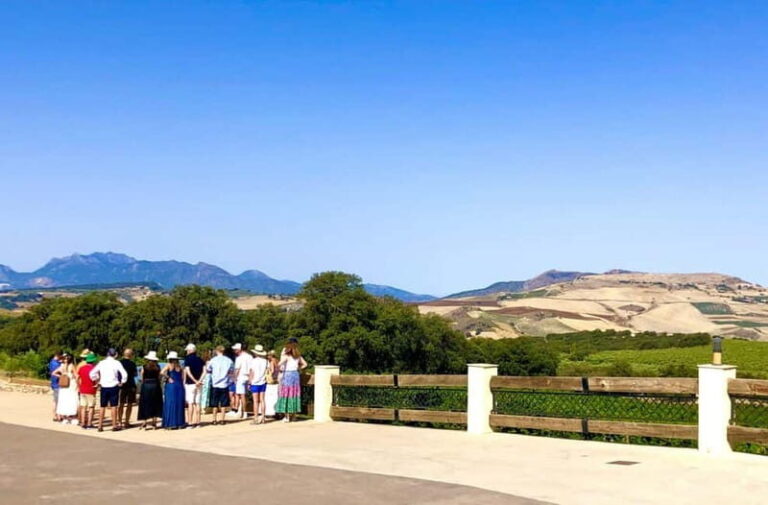 Ronda: Winery Tour with Wine Tasting and Tapas - Exploring the Ronda Wine Tour