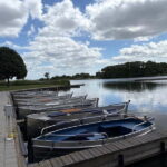 Rotterdam: 4 Hour Electric Sloop Cruise with Wine and Snacks - Why Choose This Electric Sloop Cruise?