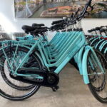 Rotterdam: City Highlights Guided Bike Tour - The Experience and Practical Details