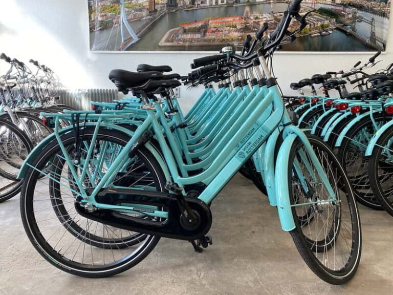 Rotterdam: City Highlights Guided Bike Tour - The Experience and Practical Details