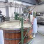 Rotterdam: Kinderdijk UNESCO Cheese Farm Experience - The Practicalities: What Travelers Need to Know