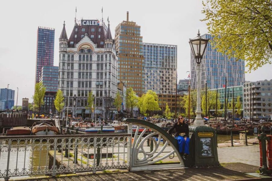 Rotterdam Walk: Highlights, Gems, Architecture & History WW2 - Why This Tour Works