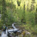Rovaniemi: Korouoma Canyon Hike and Barbecue Experience - The Hike: Trails and Terrain