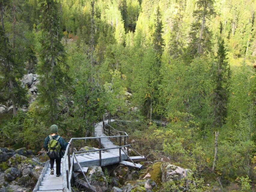 Rovaniemi: Korouoma Canyon Hike and Barbecue Experience - The Hike: Trails and Terrain