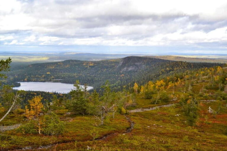 Ruka: Midnight sun hike to Valtavaara - The Experience at Valtavaara: Peak Views and Relaxation