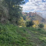 Running Tour in Granada - Running Tour in Granada: A Fresh Way to Explore Andalusia’s Jewel