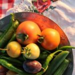 Rural Moldova: Best Yoga Farm Retreat for Soul and Body - Transportation and Group Size