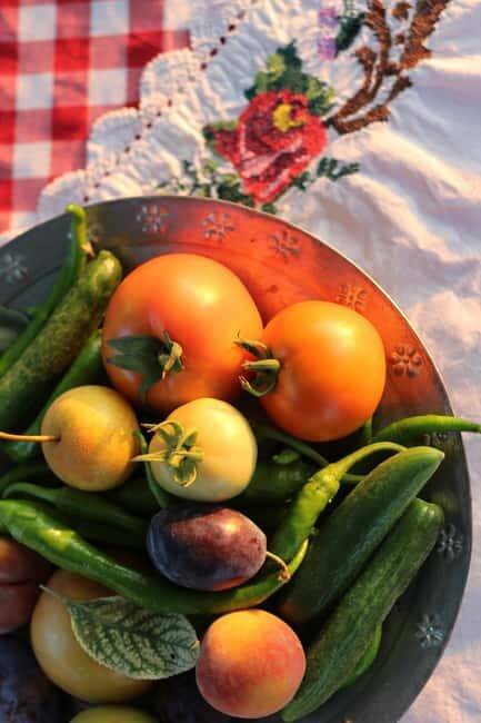 Rural Moldova: Best Yoga Farm Retreat for Soul and Body - Transportation and Group Size