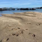 Sail to the heart of the bay. - The Value of This Coastal Adventure