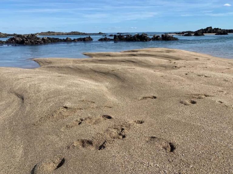 Sail to the heart of the bay. - The Value of This Coastal Adventure