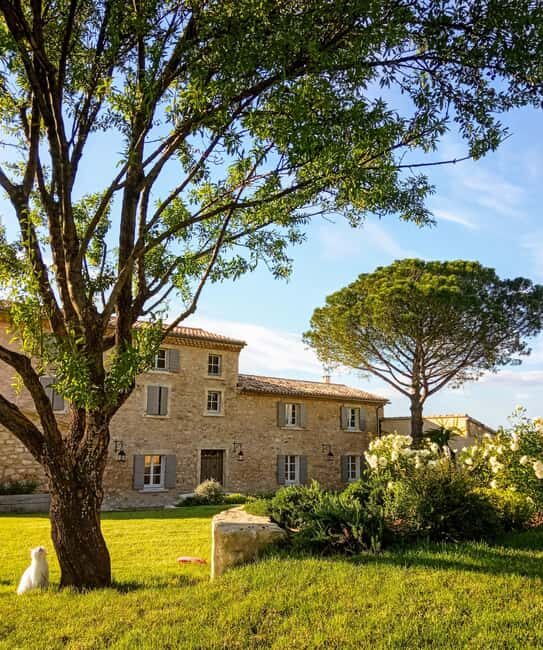 Saint-Didier: visit a vineyard & taste organic wines - An In-Depth Look at the Tour