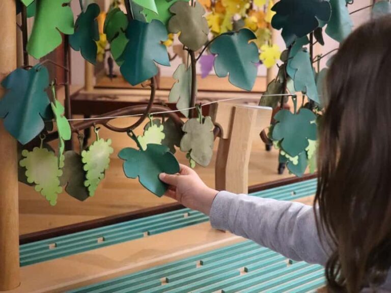 Saint Emilion: Family tour of the Maison Cardinale and tasting of three wines - Who Will Love This Tour?