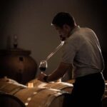 Saint-Émilion: Origin Tour - Tasting of 5 wines - Why this tour offers great value
