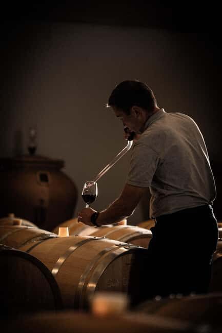 Saint-Émilion: Origin Tour - Tasting of 5 wines - Why this tour offers great value