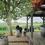 Saint-Émilion: Wine and chocolate pairing in the heart of a vineyard estate - Exploring the Vineyard and Family Estate