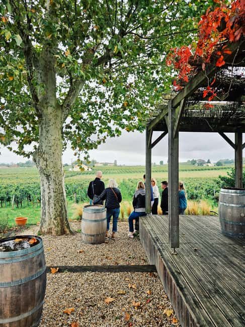 Saint-Émilion: Wine and chocolate pairing in the heart of a vineyard estate - Exploring the Vineyard and Family Estate