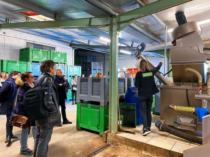 Saint Gilles: Tour of an olive oil mill in an organic olive grove - The Value of This Tour