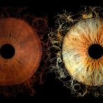 Saint-Paul-de-Vence: Reveal the beauty of your iris with Iris Galerie - The Experience Breakdown