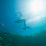 Saint Tropez: Learn how to Surf with an eFoil - Why This Experience Offers Great Value