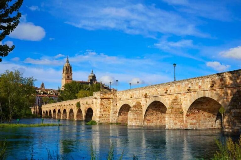 Salamanca: Private 2-Hour Intro City Walk with Local Guide - The Practicalities: What You Need to Know  