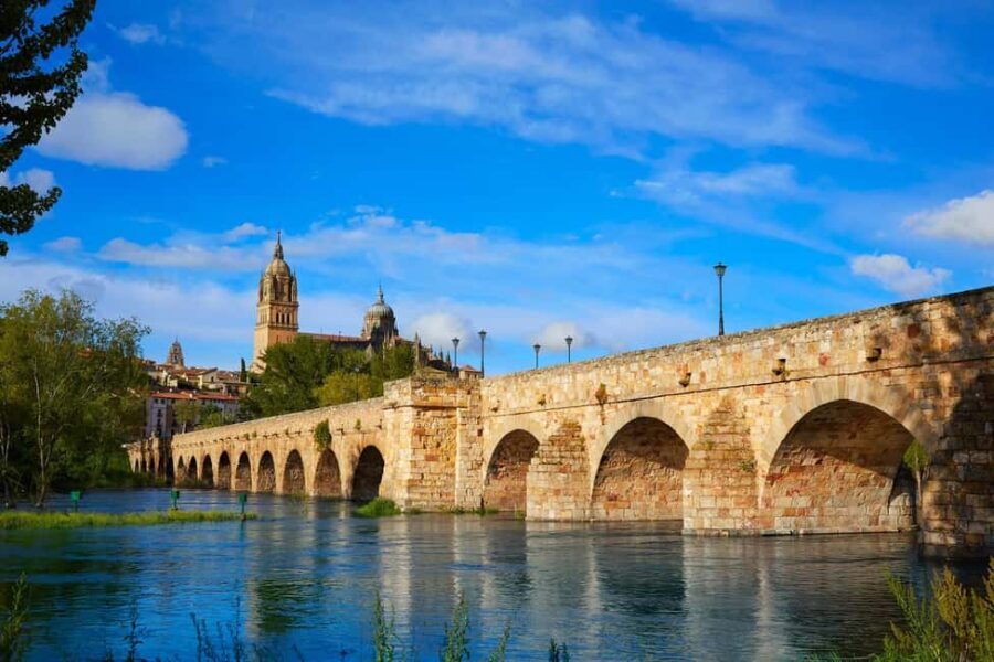 Salamanca: Private 2-Hour Intro City Walk with Local Guide - The Practicalities: What You Need to Know  