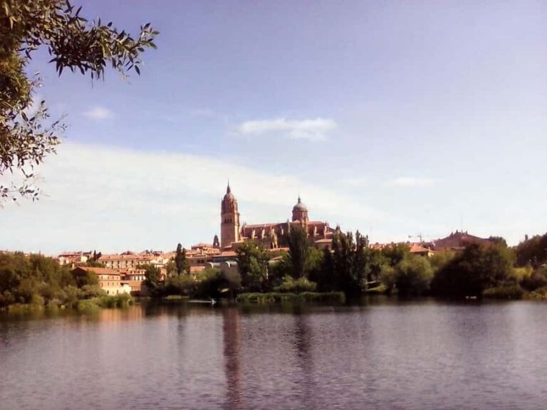 Salamanca: Private Walking Tour with a Local - What to Expect on Your Salamanca Private Walking Tour