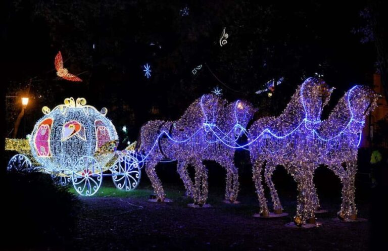 Salerno: Old town Walking Tour with Local Expert Guide - Discovering Salerno’s Old Town