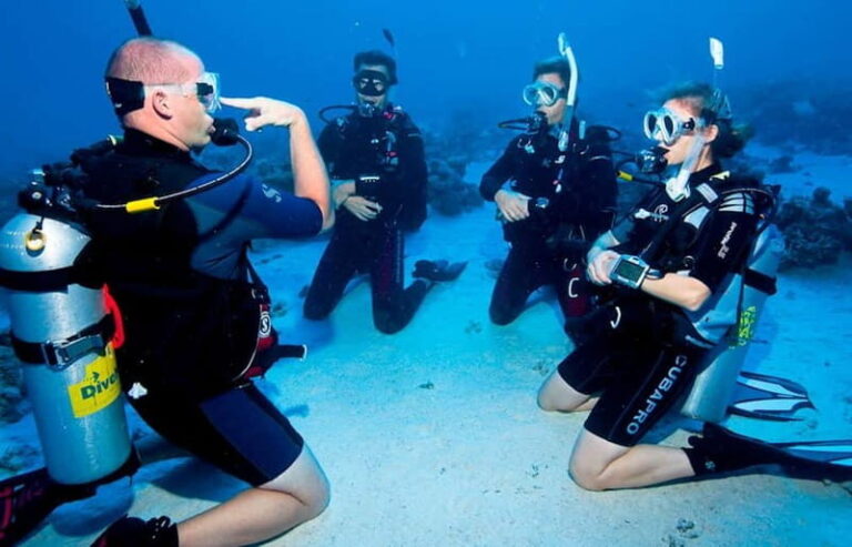 Salou: Fun Scuba Dive with Instructor (No License Needed) - The Itinerary: What to Expect