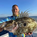 Salou: Hands-On Fishing Trip with Swimming at Sea - Catching and Releasing Fish