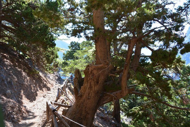 Samaria Gorge Hike - The Scenic Highlights and Practical Insights