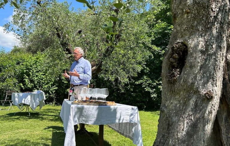 San Felice del Benaco: Vineyard Tour with Wine Tasting - Exploring the Wine Cellar