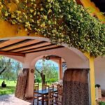 San Felice: Olive Oil Tasting with local food on Garda Hills - The Guided Tour of the Olive Grove