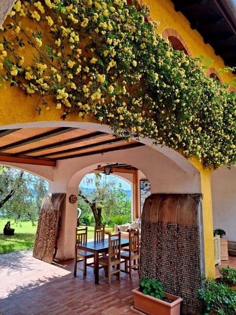 San Felice: Olive Oil Tasting with local food on Garda Hills - The Guided Tour of the Olive Grove