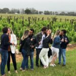 San Francisco: Napa Valley Half-Day Wine Tour with Tastings - The Itinerary in Detail
