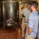 San Gimignano: Mini Wine Tour with Tuscan aperitif - Who Will Appreciate This Tour?