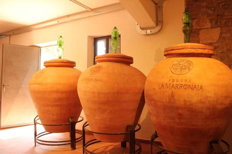 San Gimignano: Wine, Oil, Cheese & Balsamic Tasting - Who Will Love This Experience?