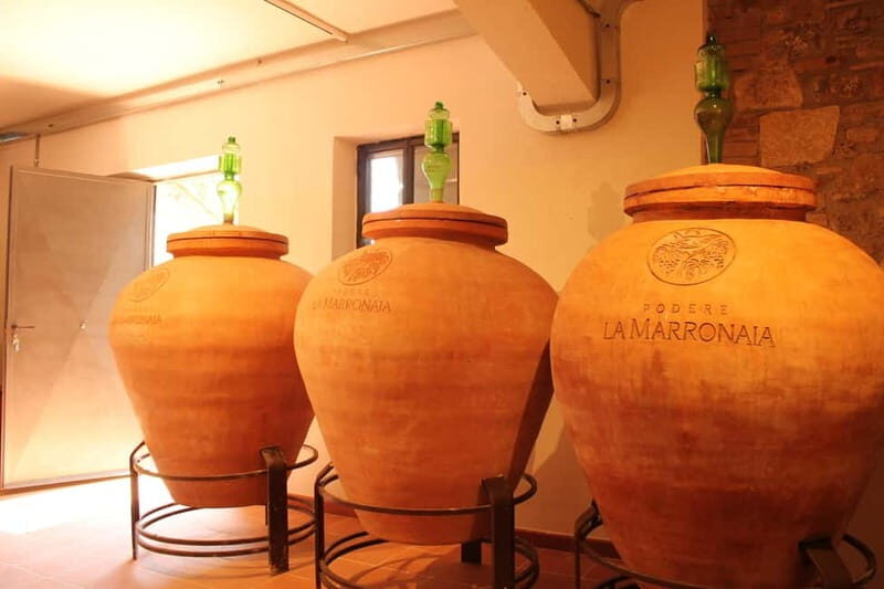 San Gimignano: Wine, Oil, Cheese & Balsamic Tasting - Who Will Love This Experience?