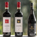 San Gimignano: Wine Tasting Experience at Il Colombaio - The Itinerary in Detail