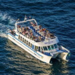 San Sebastián: Sunset from the catamaran in La Concha Bay - Who Would Love This Tour?