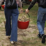 Santa Maria Imbaro: Grape Harvest with Pressing + Picnic among olive trees and vineyards - What makes this experience stand out?