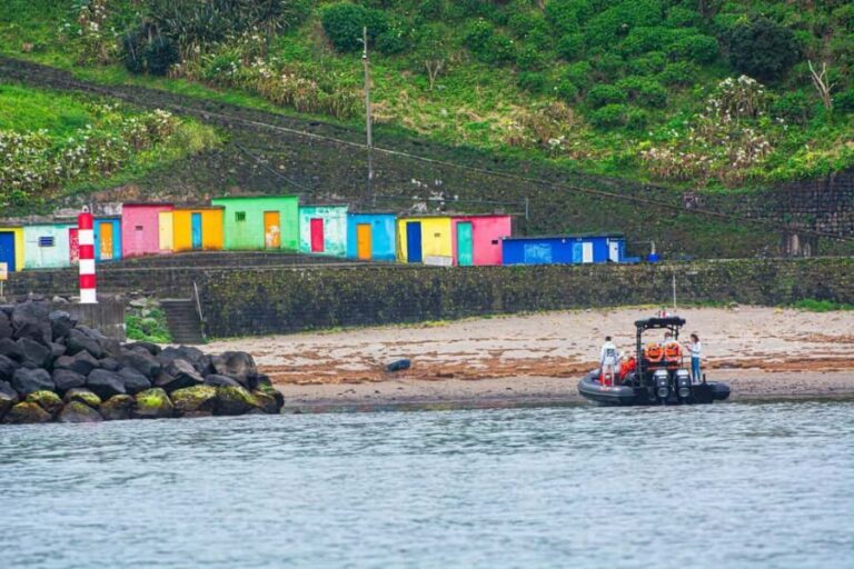 Sao Miguel: Boat Tour of the Wild & Hidden North Coast - Analyzing the Value