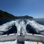 São Miguel: Boat Trip with SUP, Snorkelling & Barbecue - Final Thoughts: Is it Worth It?