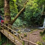São Miguel Island: Chasing Waterfalls in the Azores Tour - FAQs