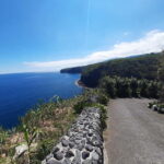 São Miguel: Moinho do Felix Hike with Tea Factory Visit - Exploring São Miguel: What You Can Expect