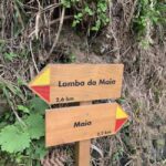 São Miguel: North Coast Private Tour & Hike - Who Will Love This Tour?