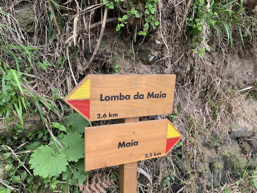 São Miguel: North Coast Private Tour & Hike - Who Will Love This Tour?